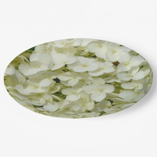 Soft White Hydrangea Papieren Bordje (Gekanteld)