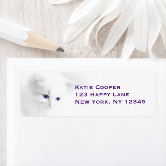 Soft White Kitten met Paarse ogen Etiket (Insitu)