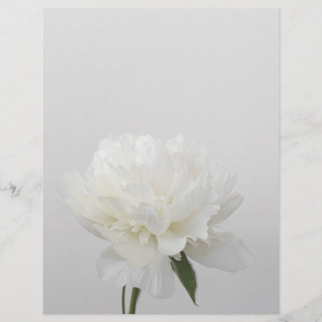 Soft white minimalist peony scrapbook paper (Voorkant)