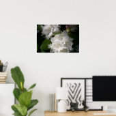 Soft White Rhododendrons Poster (Thuiskantoor)