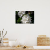 Soft White Rhododendrons Poster (Keuken)