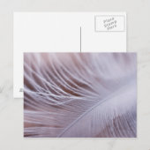 Soft white vether macrophotografie briefkaart (Voorkant / Achterkant)