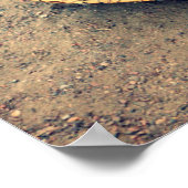 Softball Glove Poster (Hoek)