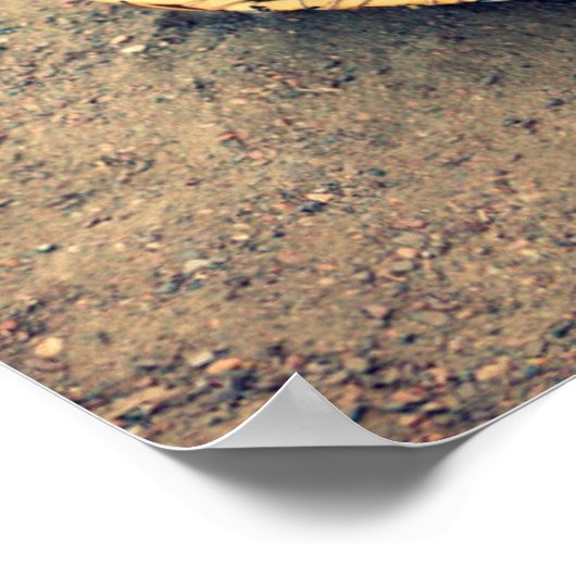 Softball Glove Poster (Hoek)