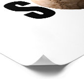 Softball Poster (Hoek)