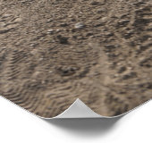 Softball, softballhandschoen en knuppel thuis bord poster (Hoek)