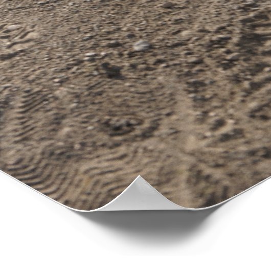 Softball, softballhandschoen en knuppel thuis bord poster (Hoek)