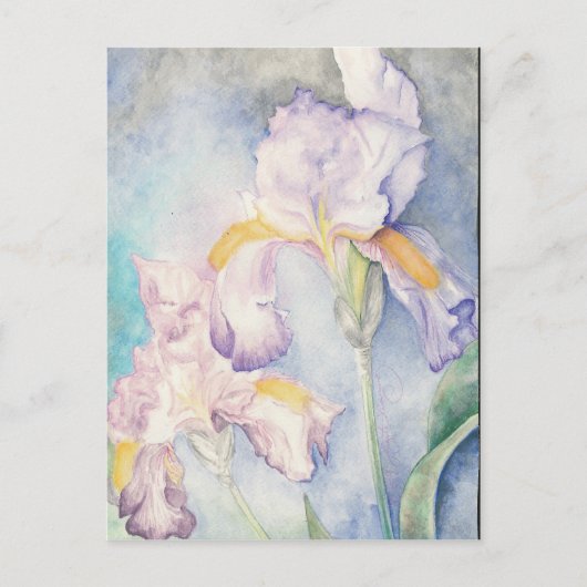 Softest Irises Floral Waterverf Briefkaart (Voorkant)