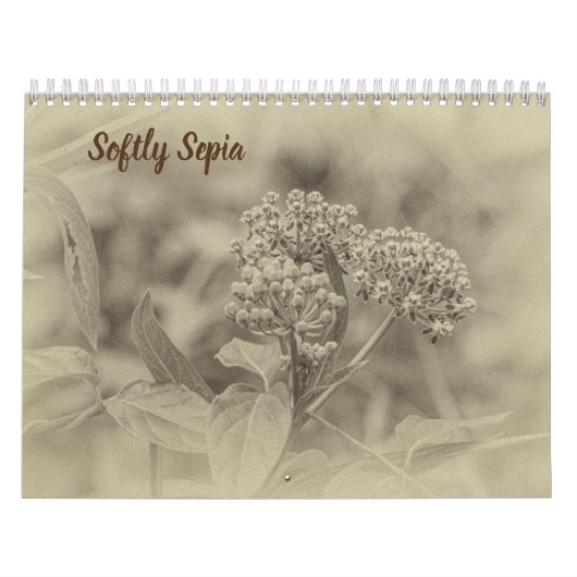 Softly Sepia Calendar Kalender (Hoes)