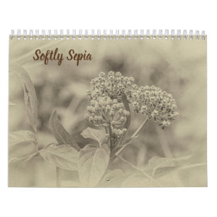 Softly Sepia Calendar Kalender