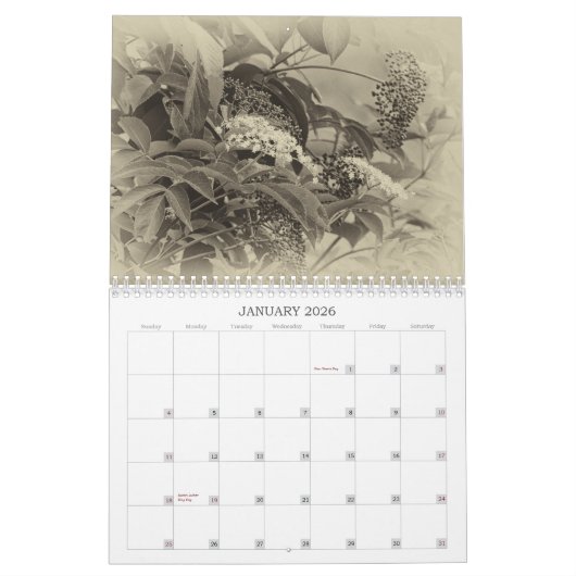 Softly Sepia Calendar Kalender (Jan 2026)