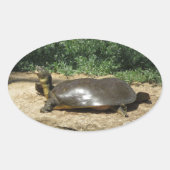 Softshell Schildpad Ovale Sticker (Voorkant)
