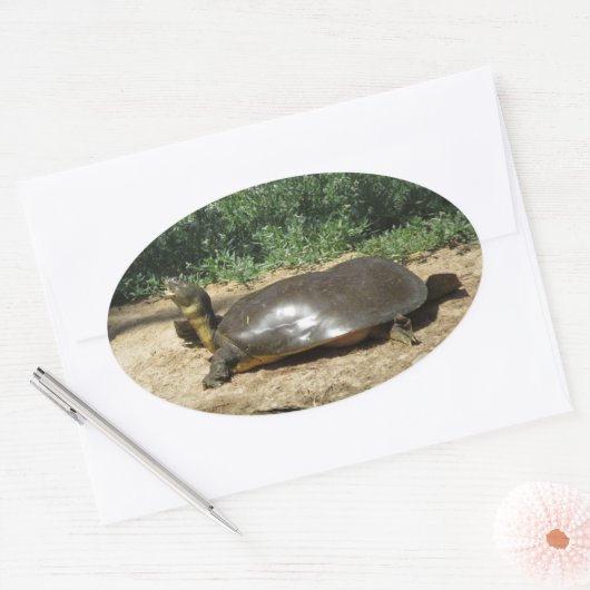 Softshell Schildpad Ovale Sticker (Envelop)