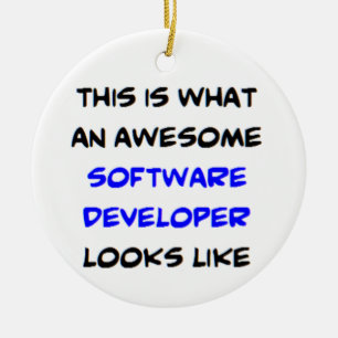softwareontwikkelaar, geweldig keramisch ornament