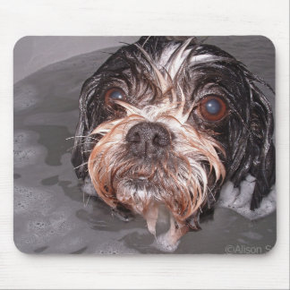Soggy Doggy Mousepad Muismat