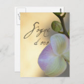 Sogni D'oro (zoete dromen) Orchid Briefkaart (Voorkant / Achterkant)