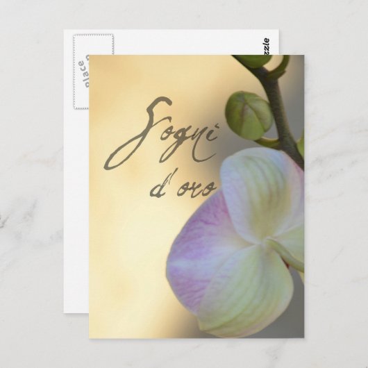 Sogni D'oro (zoete dromen) Orchid Briefkaart (Voorkant / Achterkant)
