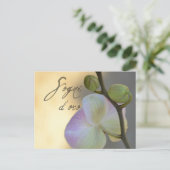Sogni D'oro (zoete dromen) Orchid Briefkaart (Staand voorkant)