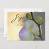 Sogni D'oro (zoete dromen) Orchid Briefkaart (Voorkant / Achterkant)