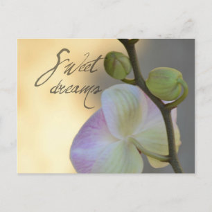 Sogni D'oro (zoete dromen) Orchid Briefkaart