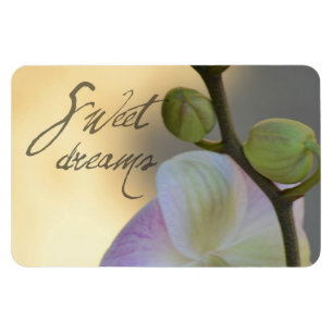 Sogni D'oro (zoete dromen) Orchid Magneet