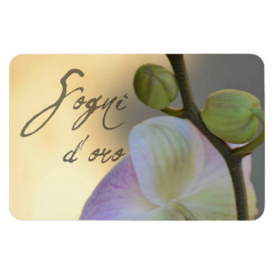 Sogni D'oro (zoete dromen) Orchid Magneet