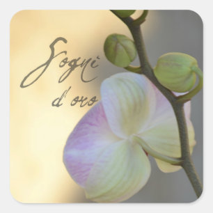 Sogni D'oro (zoete dromen) Orchid Vierkante Sticker