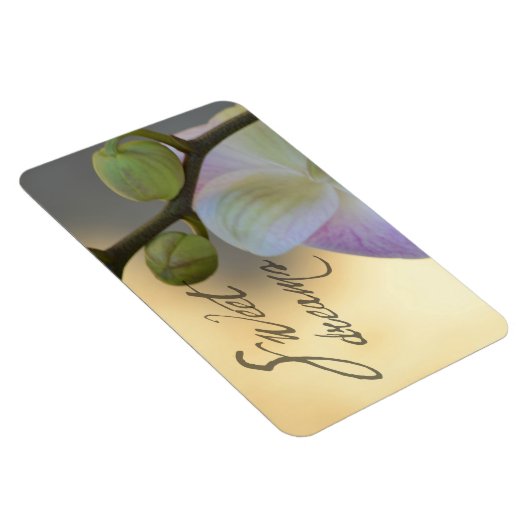 Sogni D'oro (zoete dromen) Orchidee Magneet (Rechterzijde)