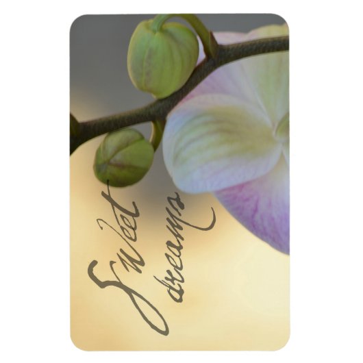Sogni D'oro (zoete dromen) Orchidee Magneet (Verticaal)