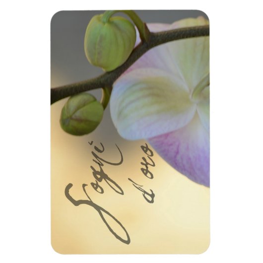 Sogni D'oro (zoete dromen) Orchidee Magneet (Verticaal)