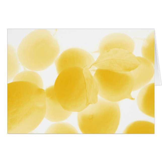 sogno di limone (Voorkant Horizontaal)