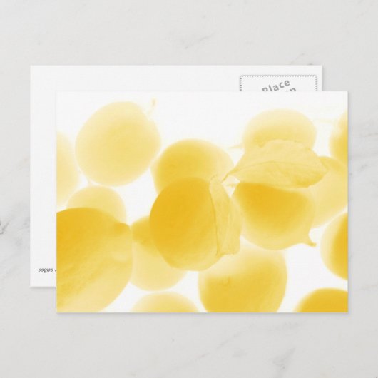 sogno di limone briefkaart (Voorkant / Achterkant)