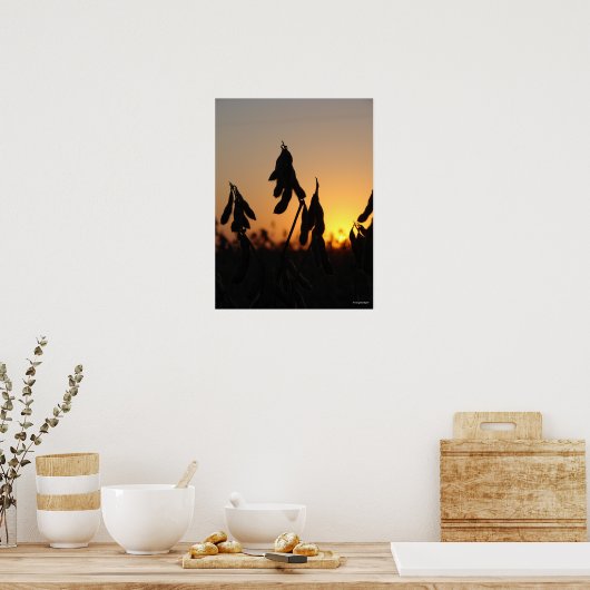 Sojabonen op Sunset Poster (Keuken)