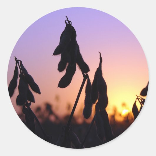 Sojabonen op Sunset Ronde Sticker (Voorkant)