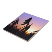 Sojabonen op Sunset Tegeltje (Zijkant)