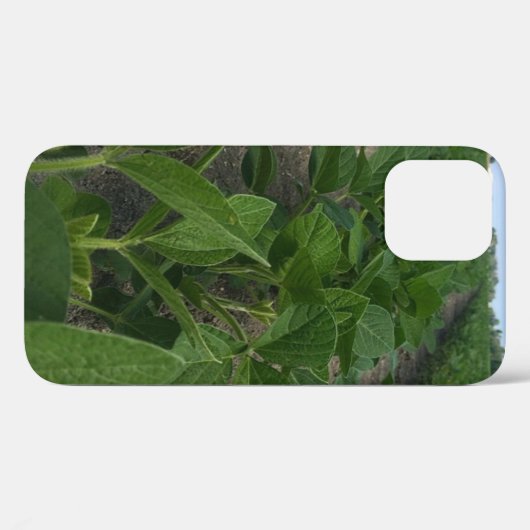 Sojaboon Rows Farming Agriculture Crop Case-Mate iPhone Case (Achterkant (horizontaal))