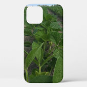 Sojaboon Rows Farming Agriculture Crop Case-Mate iPhone Case (Achterkant)
