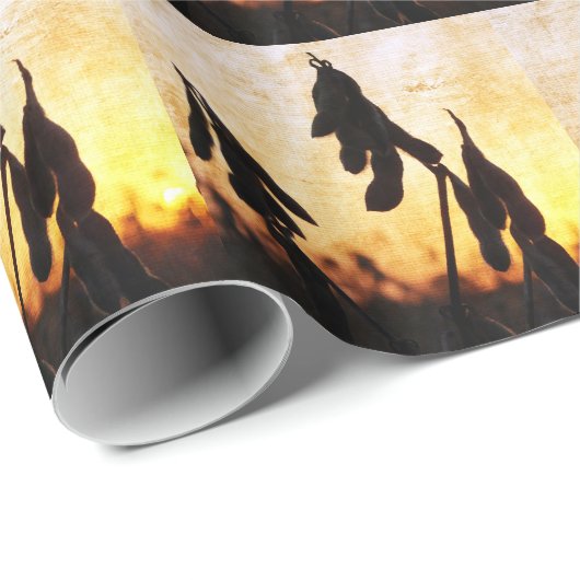 Sojaboon Sunset Cadeaupapier (Rol Hoek)