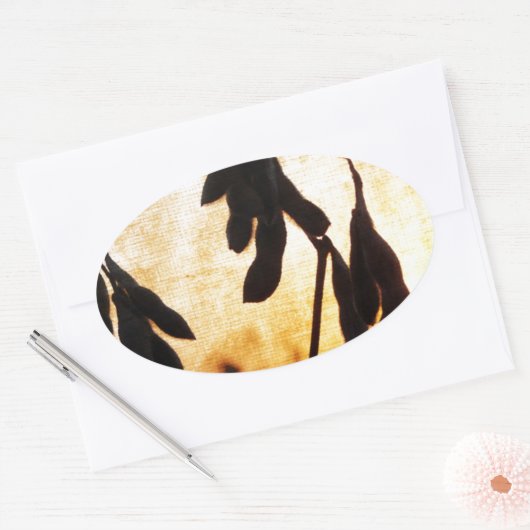 Sojaboon Sunset Ovale Sticker (Envelop)