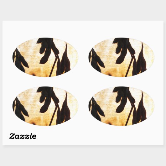 Sojaboon Sunset Ovale Sticker (Vel)