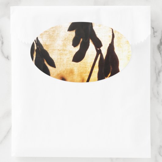 Sojaboon Sunset Ovale Sticker (Tas)