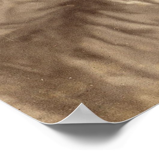 Sojourner Truth met Abraham Lincoln Poster (Hoek)