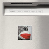 sokaap magneet (Insitu (Vaatwasser))