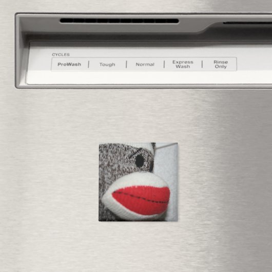 sokaap magneet (Insitu (Vaatwasser))