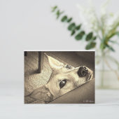 Sokka Davis Briefkaart (Staand voorkant)