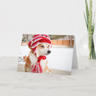 Sokken aap hoed Corgi lege wenskaart Kaart