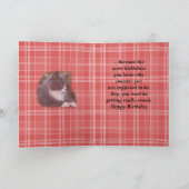 Sokken kattenverjaardagskaart... voor elke gelegen kaart (Binnen)