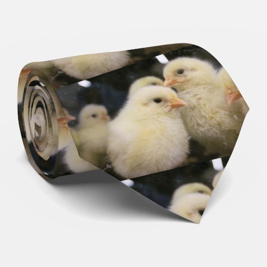 Sokken Stropdas (Opgerold)