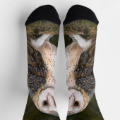 Sokken van de kerkuil (Top)