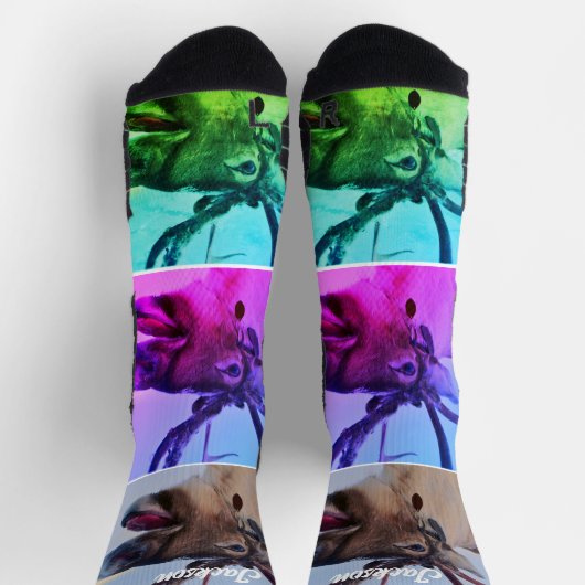 Sokken van het rendierpatroon (Top)